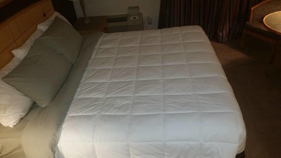 Canadas Best Value Inn 웰랜드 외부 사진